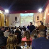 soave_preview_240
