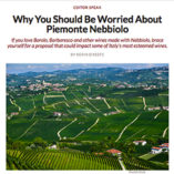 wine_etnhusiast_nebbiolo_240