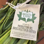 broccoletto_custoza_300