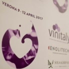 vinitaly_2017_logo_400