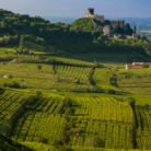 soave_vigneti_400