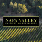napa_400