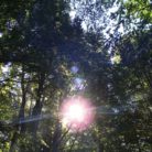 sole dentro