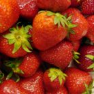 fragole
