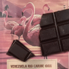 cioccolato_500