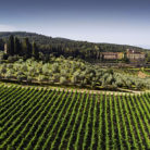 torre_a_cona_500