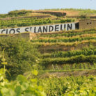 landelin_400