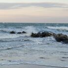 mare
