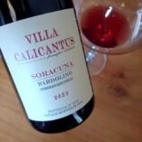 soracuna_2023_500
