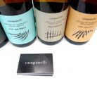 campanelli_500