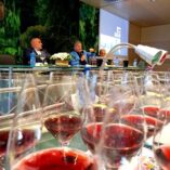 barolo_primeur_500