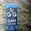 gavi_giovani_rollup_500