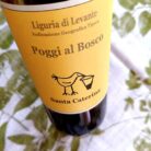 poggi_al_bosco_500