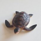tartaruga