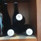 kombucha